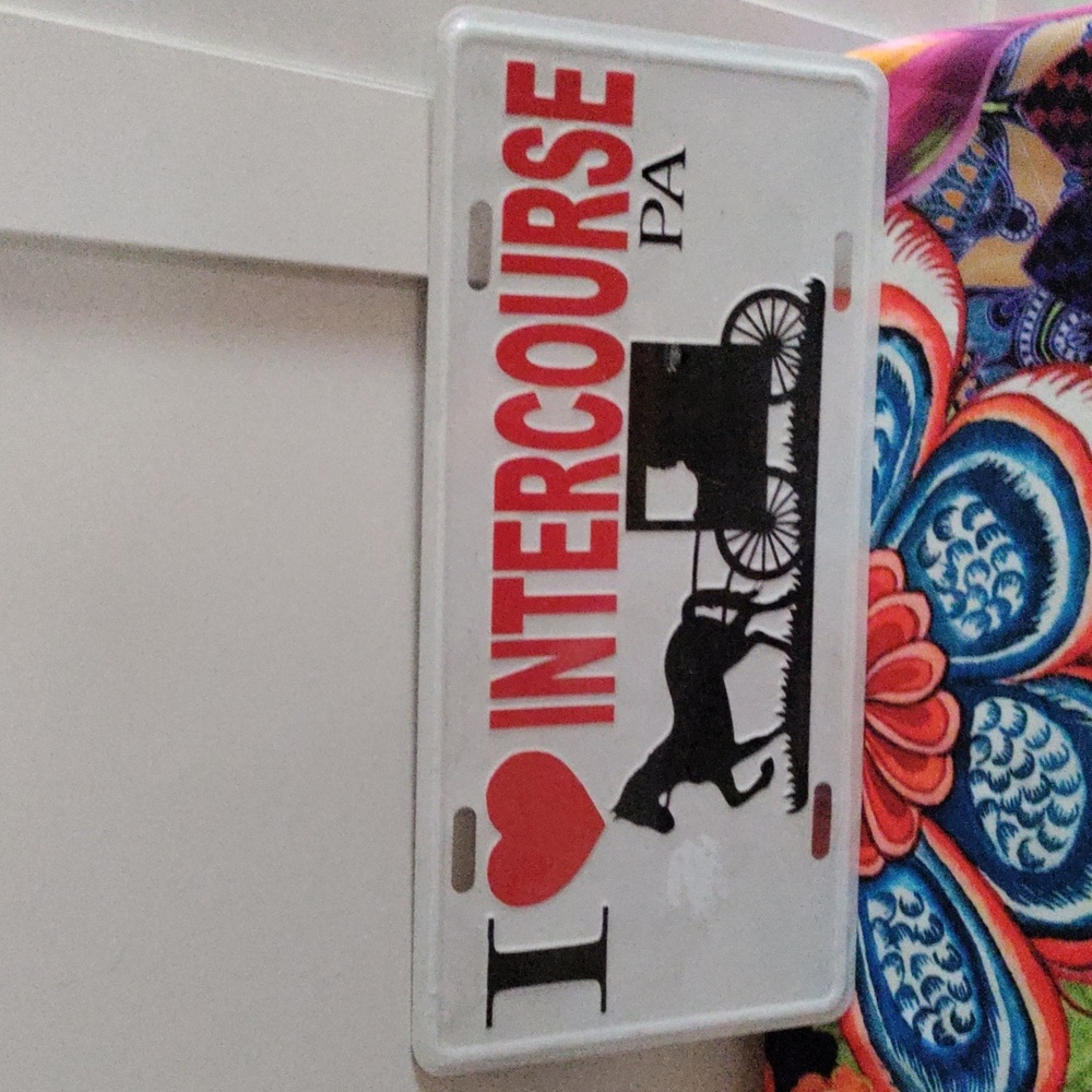 Novelty license plate